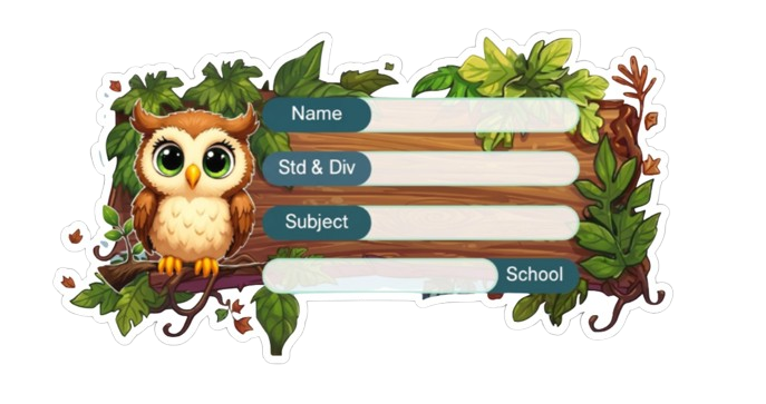 Die Cut Model  - Owl theme Labels for Kids - 10 Labels